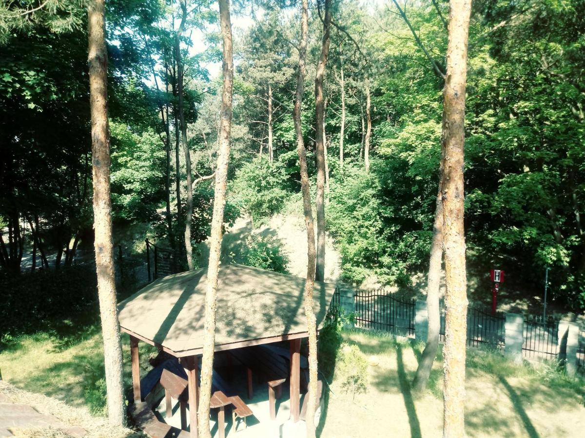 Ferienwohnung Dom Na Wzgorzu Jastarnia Exterior foto